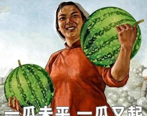 刷老婆的卡吃瓜,揭秘吃瓜背后的消费秘密 第1张 刷老婆的卡吃瓜,揭秘吃瓜背后的消费秘密 第1张